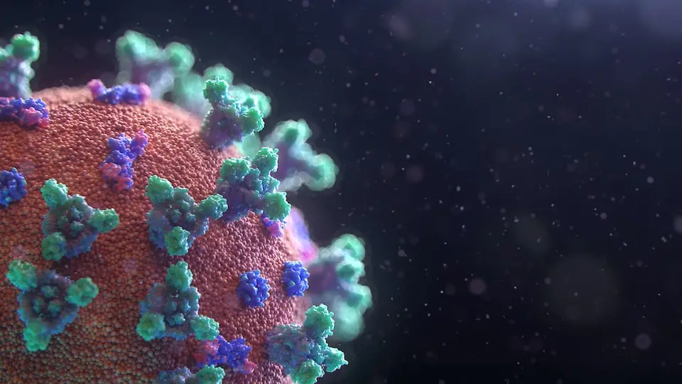 Finding beauty in ... viruses?!